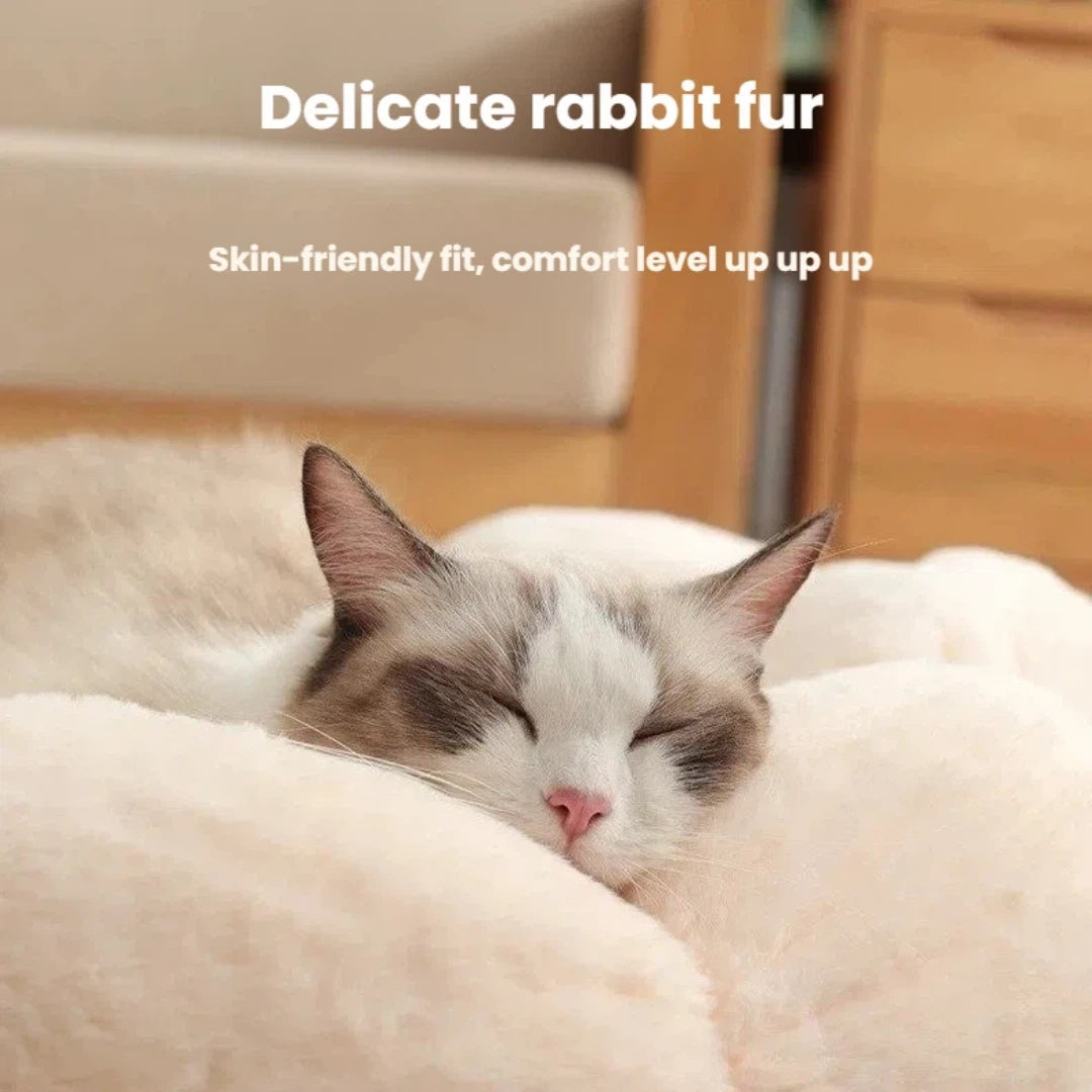 Ins Style Pet Bed, Thickened Plush Cat Bed, All-Season Pet Nest