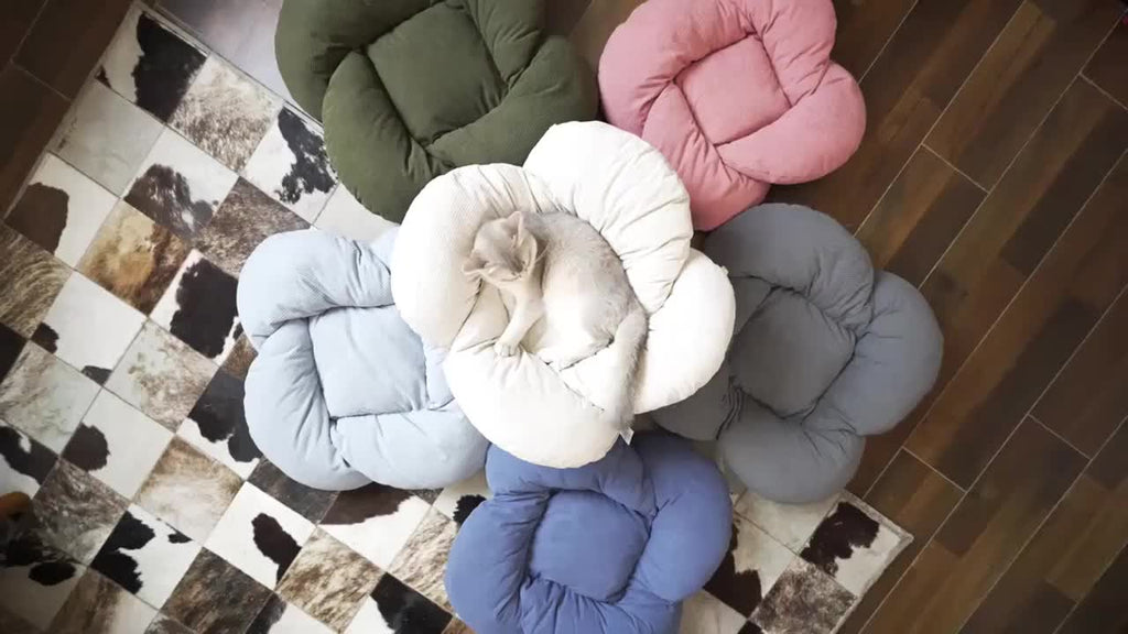 Elevated Cat Bed Wooden with Cushion Fluffy Pet Couch Sofa for Indoor Cats Raised Kitty Lounge Chair with Hardware Tool Suitable for Puppy, Cat Furniture