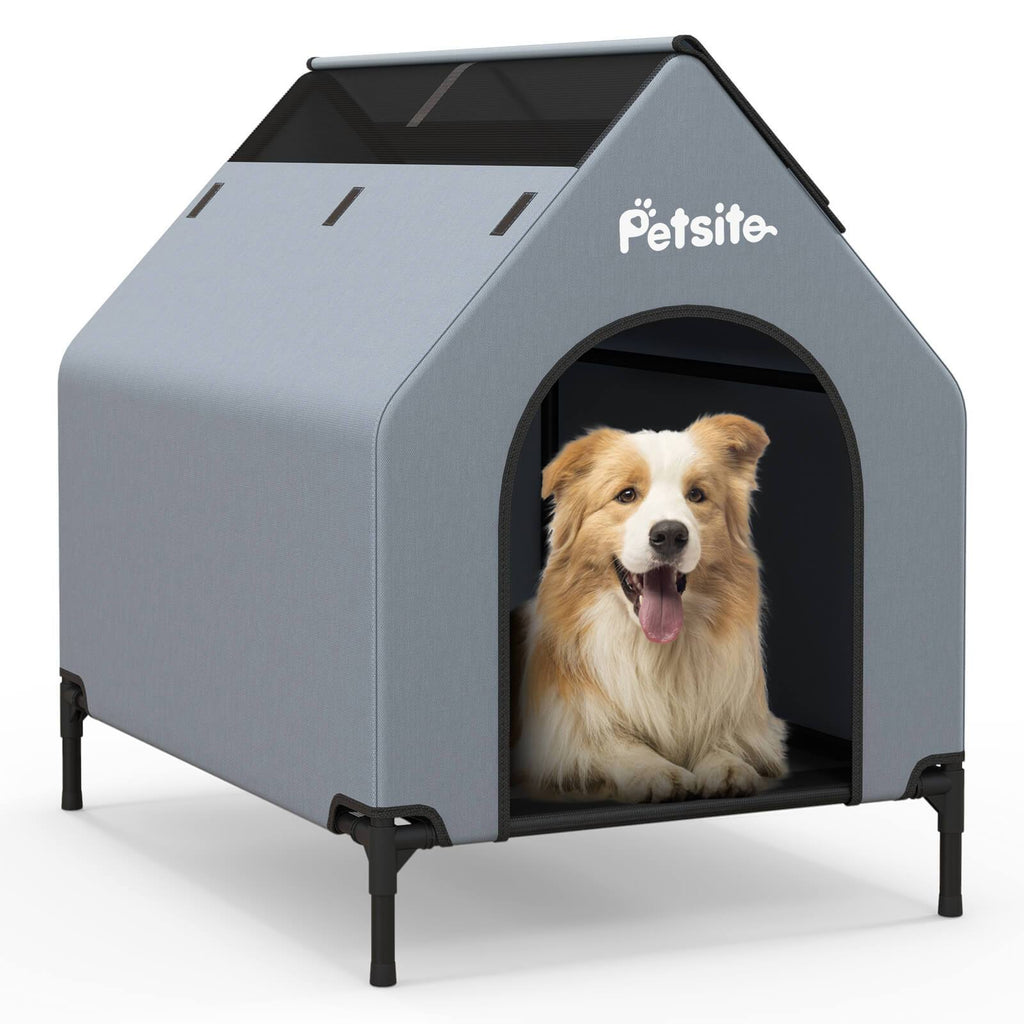PETSITE 36\