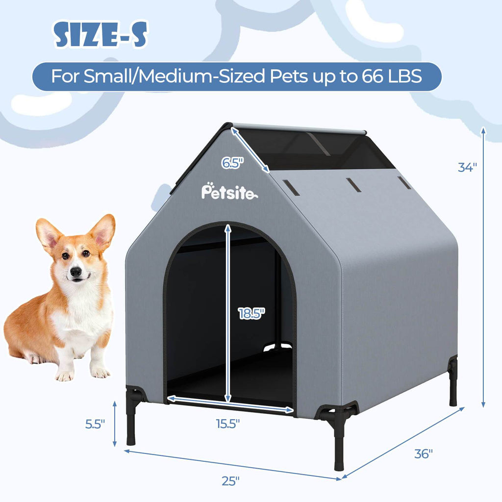 PETSITE 36\