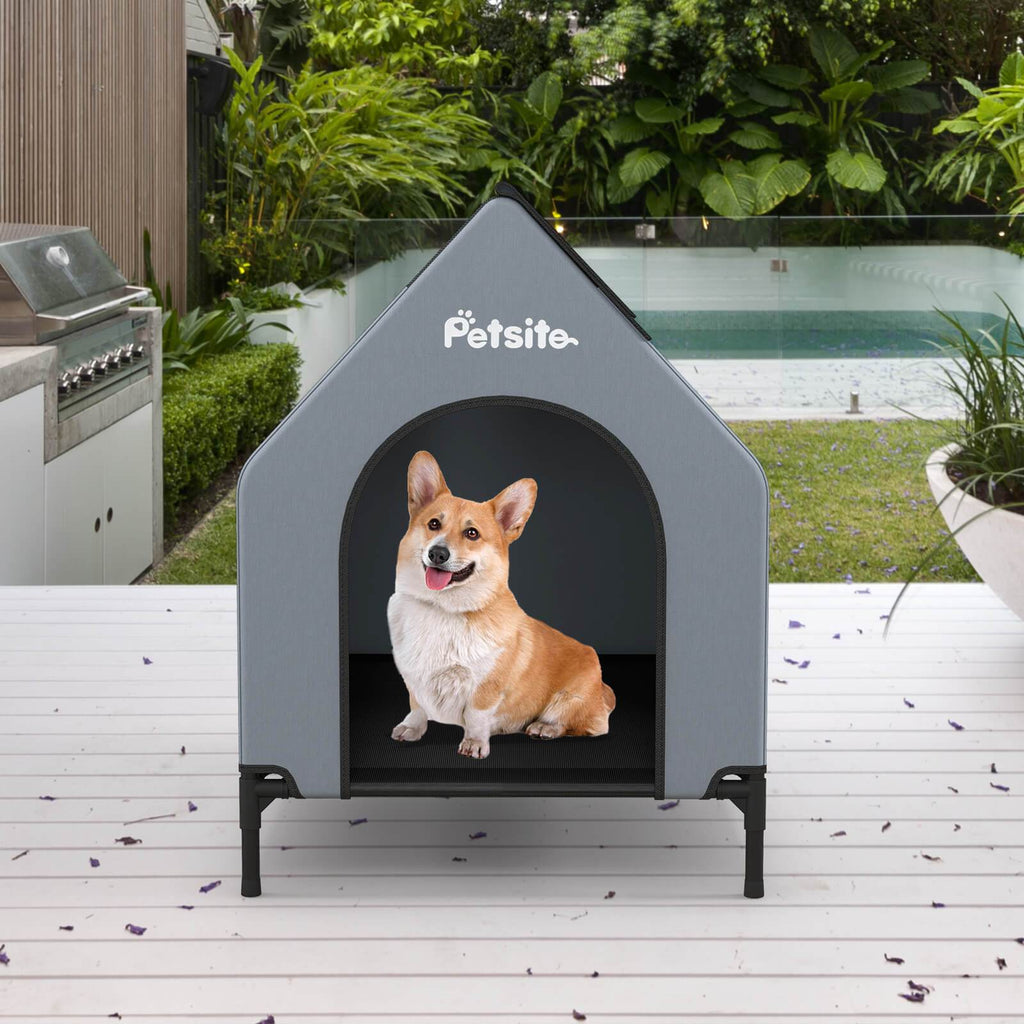 PETSITE 36\